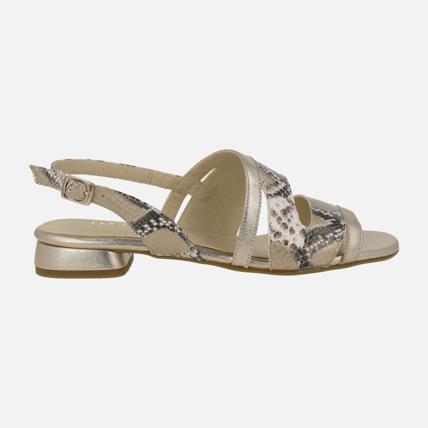 Sandalias bajas en animal print serpiente combinada con dorado - Image 2