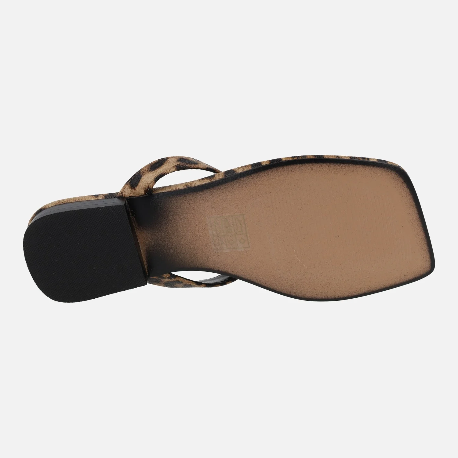Sandalias de dedo Storm Leopardo con adorno metálico dorado - Image 6