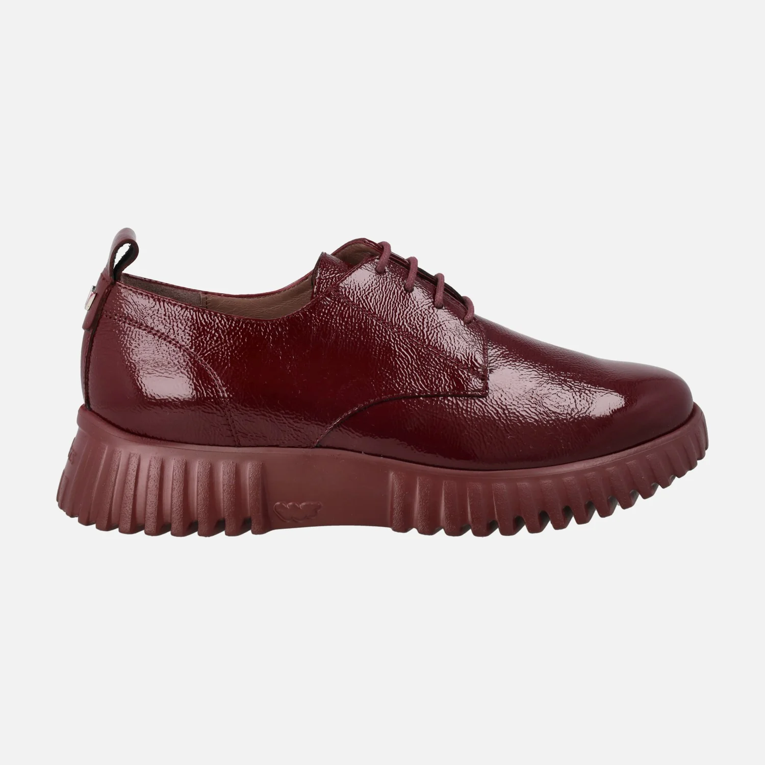 Zapatos de cordones en piel charol FlexFly 01